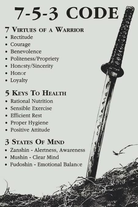 Warrior Wallpaper, 7 Virtues, Bushido Code, Gracie Jiu Jitsu, Martial Arts Quotes, Stoicism Quotes, Man Up Quotes, Warrior Tattoo, Personal Improvement