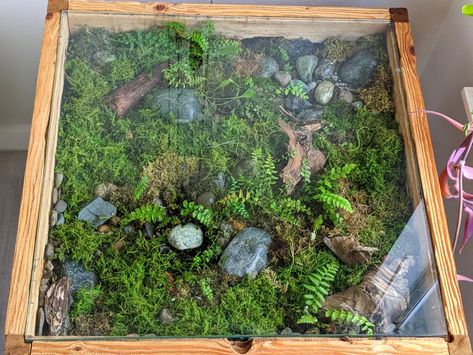 Plant Terrarium Table, Live Moss Terrarium Diy, Diy Large Terrarium, Terrarium Coffee Table Diy, Diy Terrarium Table, Terrarium Table Diy, Planter Coffee Table, Terrarium Coffee Table, Table Terrarium