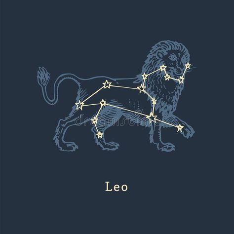 Leo Illustration Zodiac Art, Astrology Leo Aesthetic, Leo Constellation Aesthetic, Leo Illustration Zodiac, Leo Constellation Drawing, Leo Star Sign Aesthetic, Leo Zodiac Illustration, Leo Constalation, Leo Zodiac Aesthetic Art