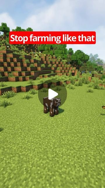 Minecraft Creatures, Minecraft Farming Ideas, Cow Farm Minecraft, Farm Cow, Minecraft Tutorial, Minecraft Building, Minecraft, Cow, Instagram