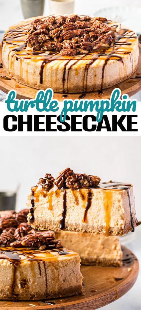 Cheesecake Deserts, Turtle Pumpkin, Pumpkin Pecan Cheesecake, Turtle Cheesecake Recipes, Dessert Thanksgiving, Pumpkin Fudge, Fast Desserts, Pecan Cheesecake, Pumpkin Pie Cheesecake