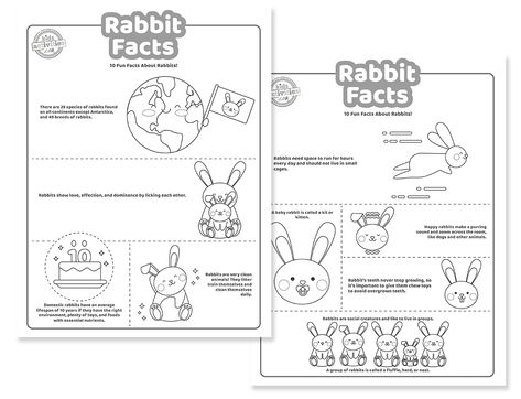 10 Rabbit Facts For Kids and Owners Rabbit Facts, Rabbit Habitat, All About Rabbits, Printables Free Kids, Facts For Kids, 3 Kids, Free Kids, Rabbits, Lesson Plans