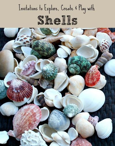 Shell Activities for Kids...3 fun ways to play and learn about shells Shell Activities, Beach Week, Summer Printables, Invitation To Play, Ocean Crafts, Summer Learning, Preschool Science, Beach Activities, Summer Theme