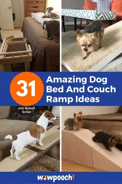 Dog Ramp Diy, Ramp Ideas, Dog Stairs For Bed, Dog Steps For Bed, Dog Ramp For Bed, Dog Couch Bed, Chihuahua Names, Pet Ramp, Dog Stairs