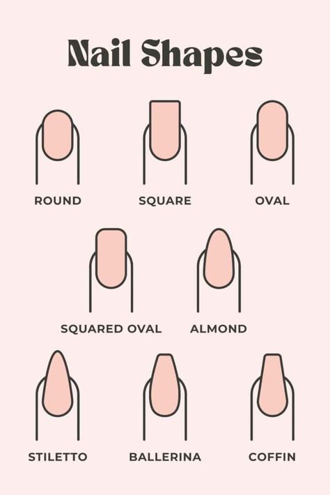 Type Of Nail Shapes, Nail Sizes Shape Chart, Nails Forme, Nail Shapes Chart, Mail Shapes, Nail Shape Guide, Nail Shapes For Chubby Fingers, Nails Form, Shape Of Nails