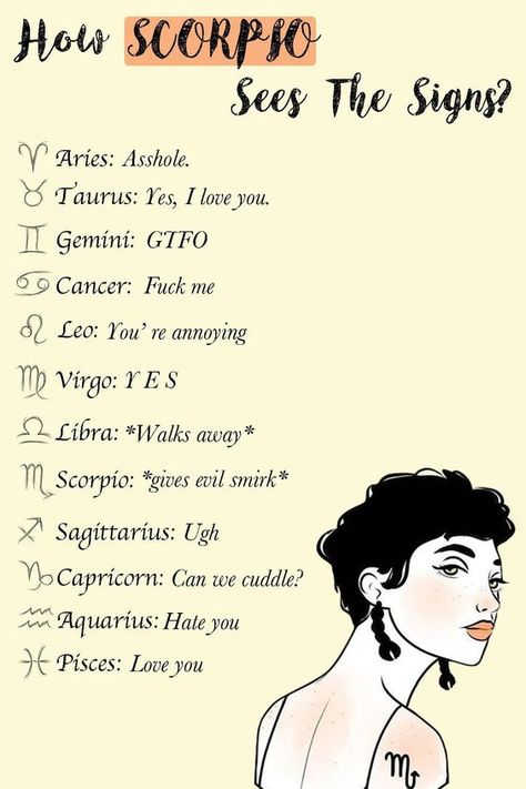 Zodiac Signs Eyes, Zodiac Quotes Scorpio, Zodiac Sign Fashion, Zodiac Signs Chart, Scorpio Zodiac Facts, Zodiac Signs Scorpio, Zodiac Funny, Scorpio Horoscope, Zodiac Signs Leo