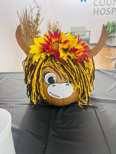 Painted Pumpkin Animals, Western Pumpkin Ideas, Animal Pumpkins Decorating, Highland Cow Pumpkin Decorating, Cow Pumpkin Decorating, Mummy Pumpkin Decorating, Painted Cow Pumpkins, Sheep Pumpkin Decorating, Highland Cow Pumpkin Painting