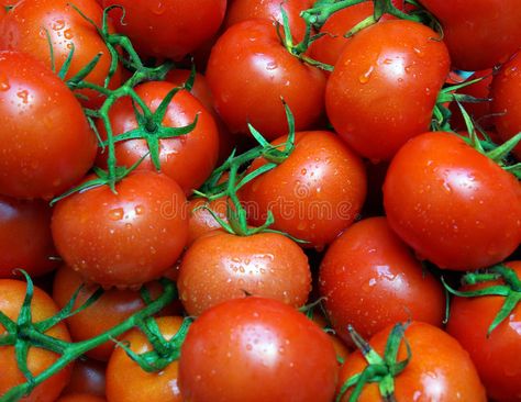 Fresh tomatoes. A lot of fresh tomatoes at the market #Sponsored , #AFFILIATE, #PAID, #tomatoes, #fresh, #lot, #Fresh Fresh Tomatoes, Free Stock Photos, Tomatoes, Photo Image, Royalty Free Stock Photos, Diet, Stock Photos, Architecture