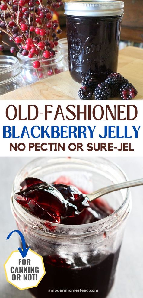 mason jar of finished blackberry jelly with fresh blackberries beside the jar, a second photo with a close up of the jelly in a spoon, with a text overlay that says easy homemade blackberry jelly no added pectin