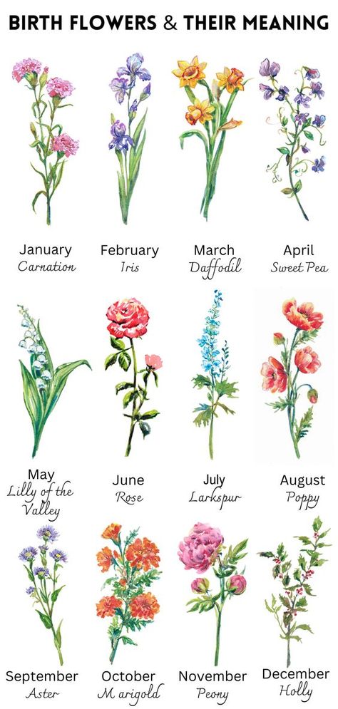 Birth Flower Meaning Birth Flower Art By Month My Birth Month Flower Meaning Botanical Month Gift — Alla Dickson Art & Goods Flower By Month Birthday, Flower Of Month Births, Birth Flower Months, Flowers Of The Month Chart, Flowers Month Birthday, Flowers By Birth Month, Birth Month Flower Watercolor, Birth Flower Meanings, July Flower Birth Month