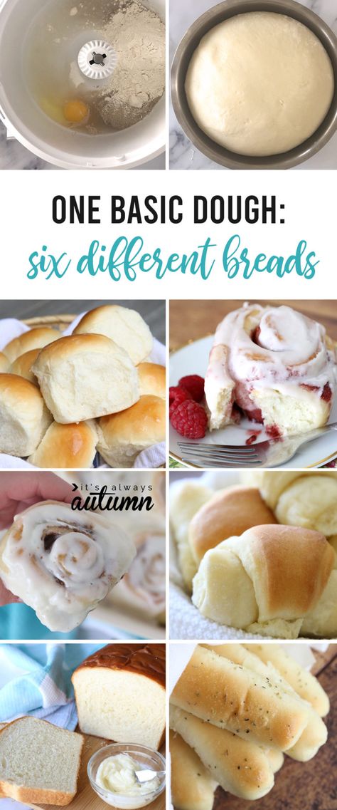 One Basic Bread Dough + SIX VARIATIONS (rolls, breadsticks, cinnamon rolls, etc)! - It's Always Autumn Things To Make With Yeast Easy Recipes, Universal Bread Dough, Easy Bread Recipes For Beginners Videos, Universal Dough Recipe, Homesteading Recipes Cooking, Small Batch Bread Recipes, Making Bread For Beginners, Cooking From Scratch Recipes, Made From Scratch Recipes