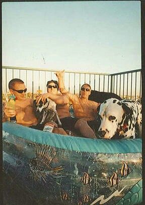 Bradley Sublime, Bradley Nowell, Lou Dog, Dog Oc, Sublime Band, Dorm Posters, Family Images, Dog Runs, Kinds Of Music