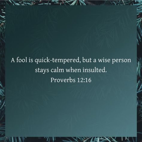 Get Angry, Proverbs 12, Wise Person, Remain Calm, Stay Calm, The Fool, Proverbs, Quick Saves