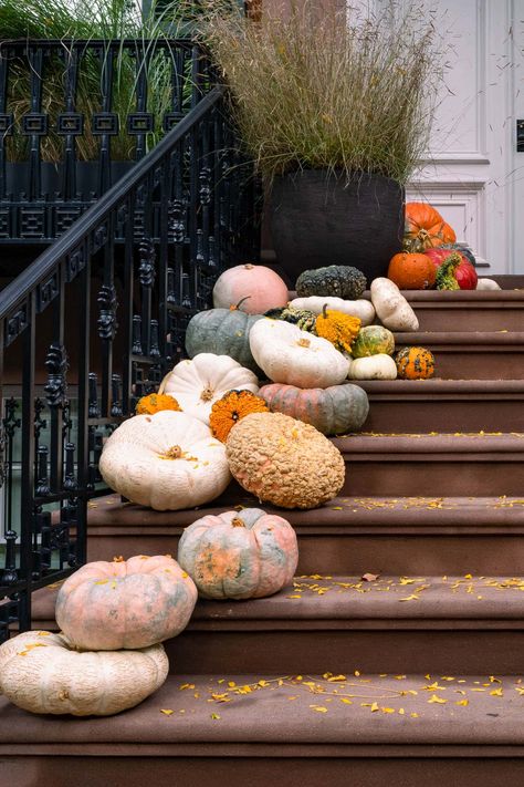 Fall Pots Outdoor Planters, Fall Planter Ideas, Mums And Pumpkins, Front Porch Stairs, Fall Pots, Licorice Plant, Potted Mums, Planter Arrangements, Mums In Pumpkins