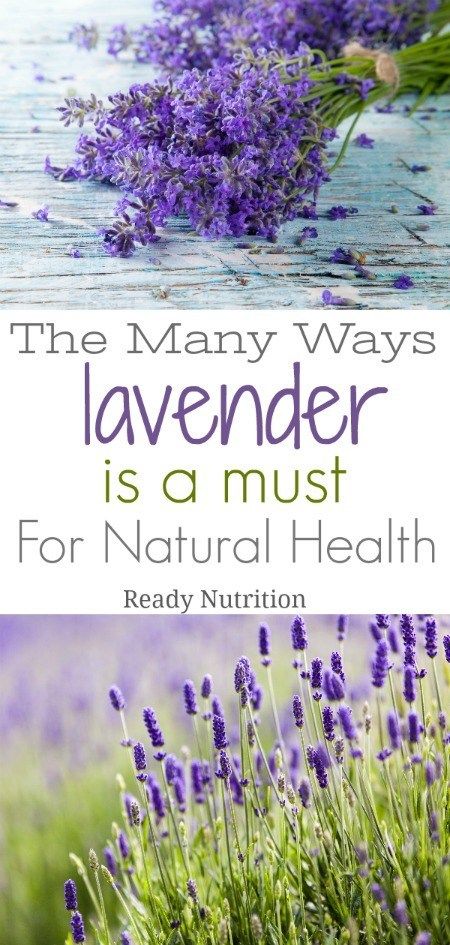 The Many Ways Lavender Is A Must For Natural Health | Ready Nutrition Lavender Healing Properties, Medicinal Recipes, Lotion Making, Benefits Of Lavender, Garden Witch, Lavender Benefits, Herbs Garden, Healing Remedies, Lavender Aromatherapy