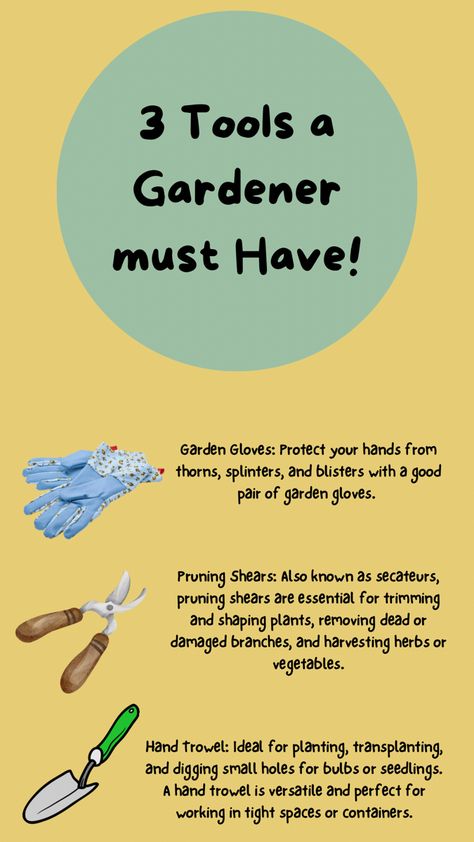 Equip yourself with the essential tools for gardening success! From hand trowels and pruning shears to garden gloves and hand pruners, these four tools are the backbone of any gardener’s toolkit. 🌱 Whether you’re planting, pruning, or harvesting, these tools will help you tackle any task with ease. Get ready to dig in and cultivate your dream garden! #GardeningTools #GreenThumb #GardenEssentials #growyourown #beginnergardening #spring #garden Farm Tools And Equipment, Tools For Gardening, Hand Trowel, Garden Gloves, Farm Tools, Must Have Tools, Gardening Gloves, Essential Tools, Pruning Shears