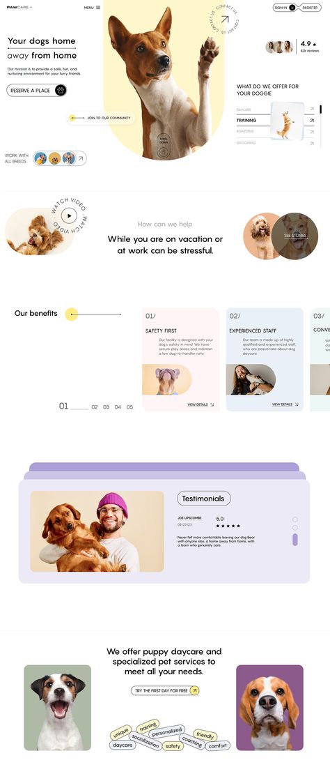 Our Work Website Design, Dog Website Design Inspiration, Pet Care Website Design, Dog Grooming Website, Pet Website Design Inspiration, Dog Website Design, Vet Website, Pet Website Design, Pet Websites