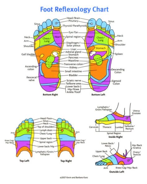 foot reflexology chart 21 screenshot Ear Reflexology, Reflexology Foot Chart, Foot Reflexology Massage, Hand Reflexology, Reflexology Chart, Reflexology Massage, Foot Reflexology, Foot Massage, Interactive Map