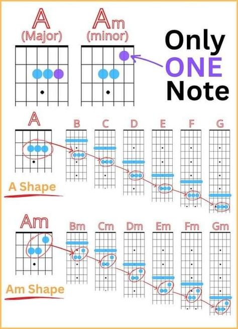 Major Chords Guitar, Guitar Modes, Guitar Tricks, Learn Acoustic Guitar, Acoustic Guitar Chords, Guitar Chord Progressions, Guitar Tabs For Beginners, Basic Guitar Lessons, Music Theory Guitar