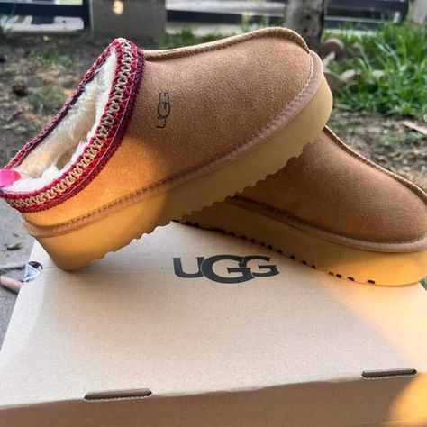 UGG Ugg Platform Slippers, Clear Boots, Slipper Shoes Women, Ugg Tazz, Tasman Slippers, Mules Women, Chestnut Uggs, Short Suede Boots, Ugg Tasman Slippers