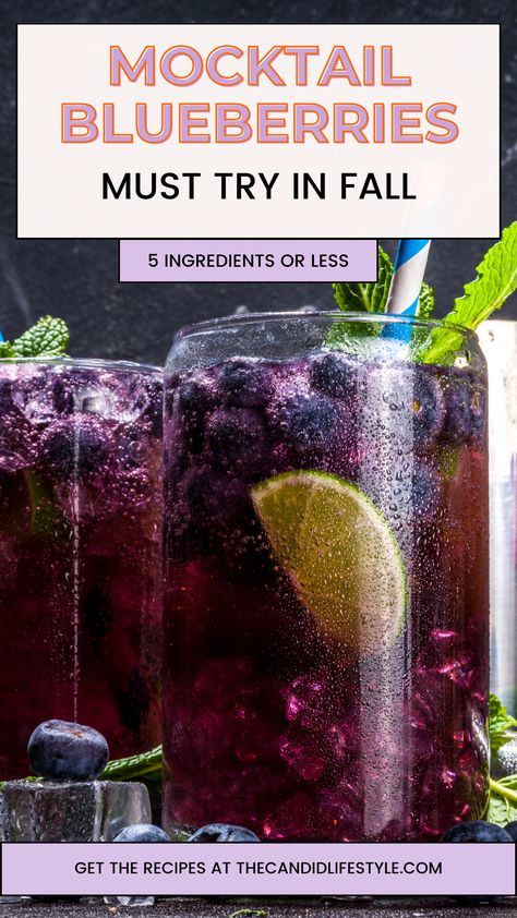 mocktail blueberries gin Vanilla Mocktail, Blueberry Mocktail, Drinks Nonalcoholic, Blueberry Gin, Christmas Mocktails, Thanksgiving Punch, Fall Drink Recipes, Fall Drink, Warm Apple Cider