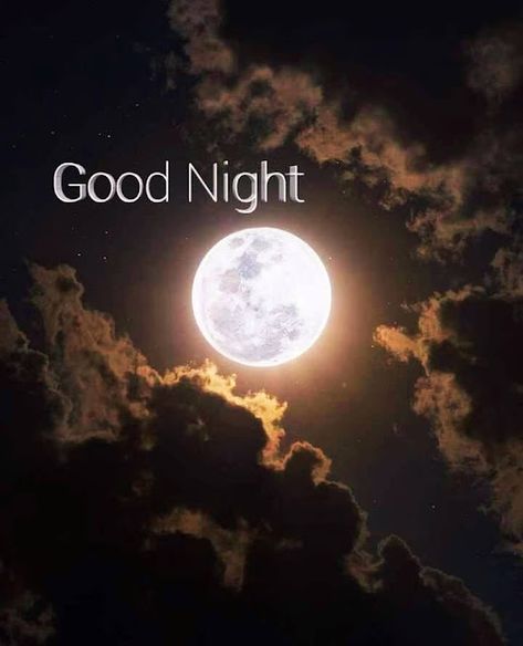 Good Night Images New Good Night Images, Beautiful Good Night Images Pictures, Funny Good Night Images, Good Night Pics, Night Wallpapers, Romantic Good Night Image, Good Night Qoutes, Good Night Cards, Photos Of Good Night