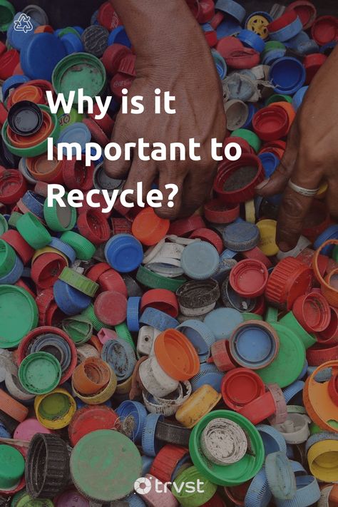 "Why is it Important to Recycle?"- Take a closer look at your trash can. Is everything in there really waste? It is most likely that you could still use much of what goes in your trash for purposes other than what you acquired them for. We can renew the life of some materials by recycling... #trvst #inspiration #waste&recycling #sustainable #trash #waste #plastic #recycling #recycle #planet #life #reducereuserecycle #saynotoplastic Why Recycle, Benefits Of Recycling, Importance Of Recycling, Scrap Recycling, Environmentally Friendly Living, Waste Recycling, Plastic Recycling, Your Trash, Aluminum Cans