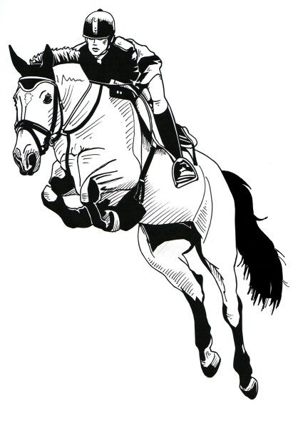 Jumping Sketch, Ride Drawing, Horse Wall Stickers, Horse Outline, Helmet Drawing, Animal Line Drawings, Horse Art Drawing, Show Jumping Horses, Horse Sketch