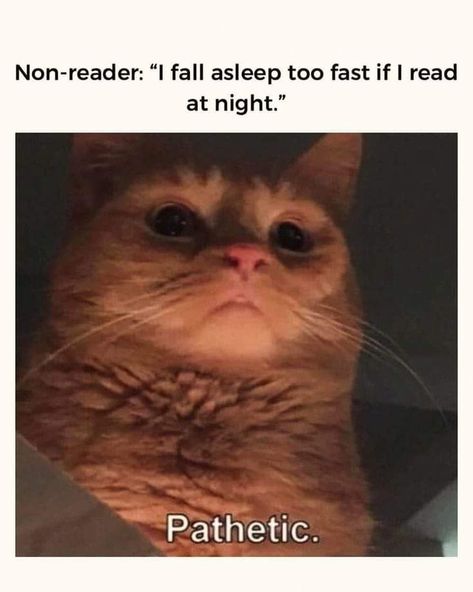 Reading Books Memes Funny, Reader Jokes, Book Memes Funny, Reading Core, Book Nerd Humor, The Twisted Series, Reader Things, Kings Of Sin, Drawing Memes