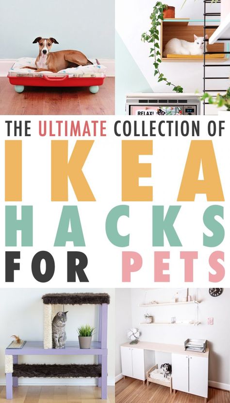 Ikea Cat, Cat Litter Cabinet, Billy Ikea, Katt Grejer, Kat Diy, Dog Bed Modern, Hack Ikea, Hacks Ikea, Bedroom Hacks