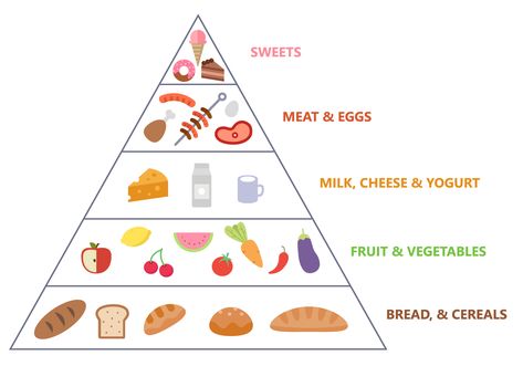 Free Food Pyramid Vector Food Pyramid Drawing, Pyramid Drawing, Food Pyramid Kids, English Classes For Kids, Nutrition Chart, Toddler Homeschool, Dot Worksheets, Cute Wall Decor, Food Pyramid