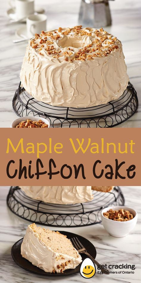 Who can resist this light-as-air, maple scented chiffon cake.  Impressive to serve while scrumptious to eat. Walnut Chiffon Cake, Maple Cake, Sponge Cake Recipes, Maple Walnut, Pie Cake, Chiffon Cake, Cake Roll, Occasion Cakes, Sweet Cakes