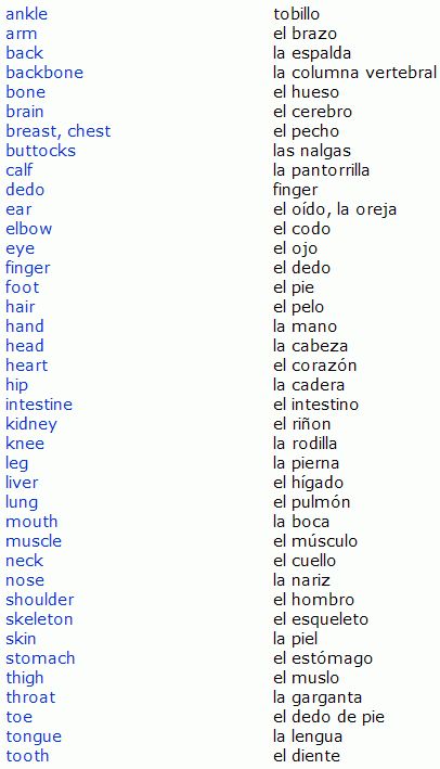 spanish body part words: http://www.spanish.bz/... - follow my profile for more and visit my website Spanish Help, Learning Spanish For Kids, Learn To Speak Spanish, Spanish Basics, Homeschool Spanish, Learning Spanish Vocabulary, Spanish Grammar, Spanish Phrases, Spanish Vocabulary