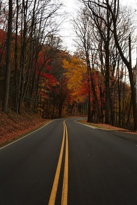 Gatlinburg Tennessee - Nov. 2016 Gatlinburg Tennessee Aesthetic, Tennessee Autumn, Fall In Tennessee, Tennessee Aesthetic, Tennessee Fall, Fall Goals, Beautiful Comments, Fall Road Trip, Gatlinburg Tennessee