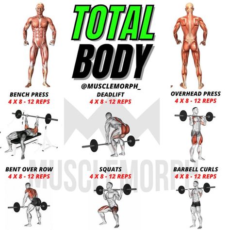 Barbell Workout Mens, Full Body Workout For Men, Exercises For Men, Full Body Weight Workout, Gym Workout Guide, Full Body Dumbbell Workout, Whole Body Workouts, Full Body Workout Routine, Barbell Workout