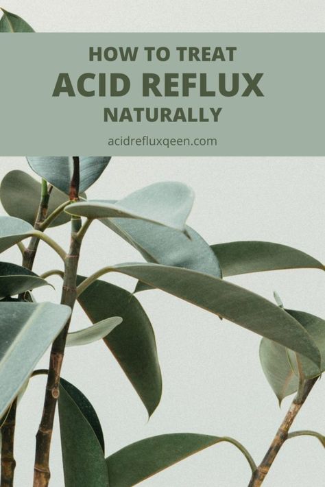 How To Treat Acid Reflux Naturally - Simply Noel Acid Reflux Foods, Acid Reflux Natural Remedies, Acid Reflux Relief, Aloe Vera Drink, Reflux Diet, Acid Reflux Diet, Reflux Disease, Slippery Elm, Stomach Acid