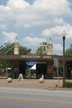 The Houston Zoo in Texas is the seventh most visited zoo in the United States. Texas Adventure, Houston Zoo, Holiday Lights Display, Cheap Hobbies, Texas Places, Hobbies For Kids, Christmas Place, Texas Travel, Texas State