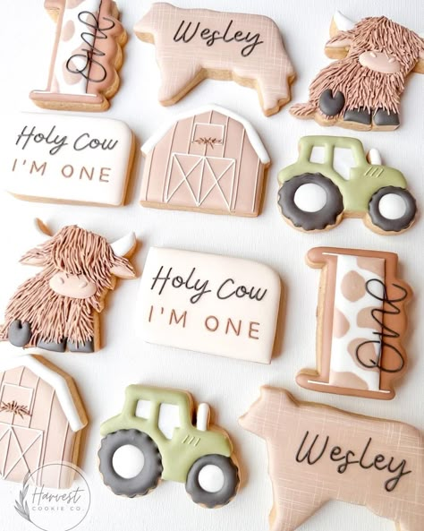 Royal Icing Sugar Cookies, Icing Sugar Cookies, Baby First Birthday Themes, Rodeo Birthday Parties, Cow Birthday Parties, Barnyard Birthday Party, Royal Icing Sugar, Western Birthday Party, Farm Themed Birthday Party