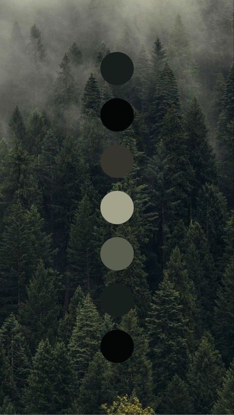 Dark Aesthetic Color Pallet, Dark Rustic Color Palette, Aesthetic Color Palettes Dark, Misty Forest Color Palette, Dark Green Pallet, Darker Color Palette, Dark Aesthetic Color Palette, Woodsy Color Palette, Nature Color Pallete