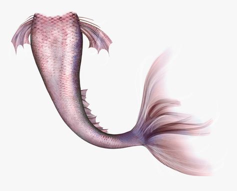 Mermaid Tail Aesthetic, Mermaid Tail Art, Grass Photoshop, Mermaid Collage, Siren Tail, Pink Mermaid Tail, Mermaid Drawings, Mermaid Tale, Mermaid Aesthetic