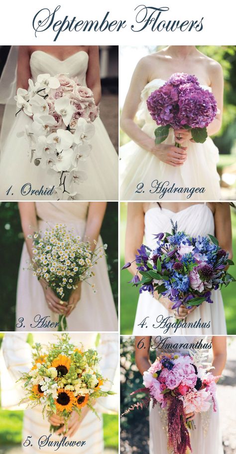 September Flowers | Lucky in Love Wedding Blog #weddingflowers #bridalbouquet #fallflowers Flowers In September, Popular Wedding Flowers, September Bride, September Wedding Flowers, Best Wedding Colors, September Flowers, Fall Wedding Flowers, September Wedding, Fall Wedding Colors