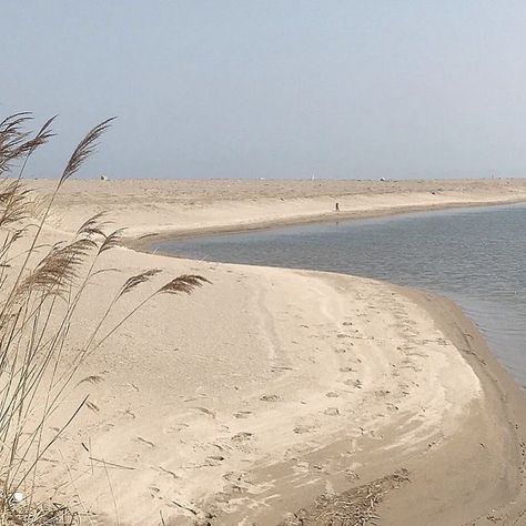 Blue Aesthetic Tumblr, Esthetician Room Decor, Minimal Photography, Header Photo, Shades Of Beige, Photo Wall Collage, Blue Beach, Brown Aesthetic, Salt And Water