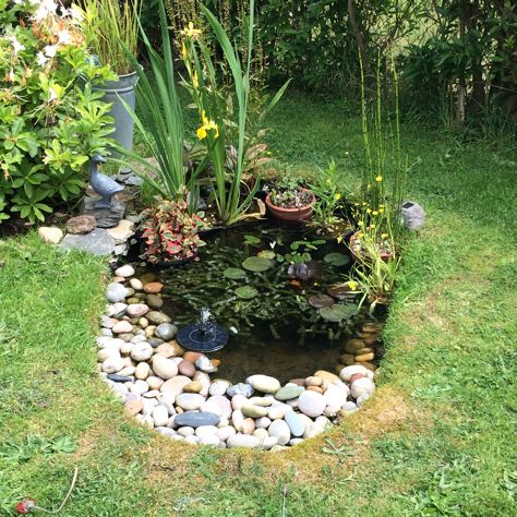 Small Pond Front Yard, Tiny Pond Ideas, Small Wildlife Pond Ideas, Wildlife Ponds For Small Gardens, Small Garden Ponds Ideas, Small Raised Pond, Small Pond Landscaping, Mini Pond Ideas, Small Wildlife Pond