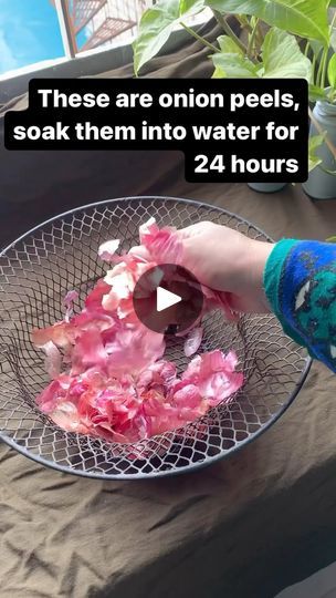 7.9K views · 300 reactions | 💡There are lots of onion peels benefits, onion peels can uses as fertilizer. Its contain many useful substances like Potassium, sulphur, phosphorus etc
#viralvideos #viralreels #gardening #fertilizer #plant #plantlover #tips #tipsandtricks | Howthingswork | howthingswork007 · Original audio Gardening Inside, Plant Fertilizer, Fertilizer For Plants, 10k Views, Plant Lover, Gardening Tips, Agriculture, Chemicals, Benefits