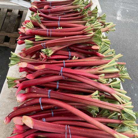 Farmers Market Week is August 4-10! A farmers market isn’t just a place to shop for fresh local produce, but also to connect with your neighbors and support small businesses in your community. If you haven’t been to the farmers market in a while, it’s a great time to check one out (and there are tons of good ones in the Portland area)! Celebrate Farmers Market Week with us! We’ll be at: @beavertonmarket Aug 3 @woodstockmarketpdx Aug 4 @portlandfarmers (PSU) Aug 10 @montavillamarket Aug 11 ... Selling Herbs At Farmers Market, Unique Farmers Market Ideas, Farmers Market Ideas, Selling Herbs, Market Ideas, Farm Stand, Local Produce, Support Small Business, Farmers Market