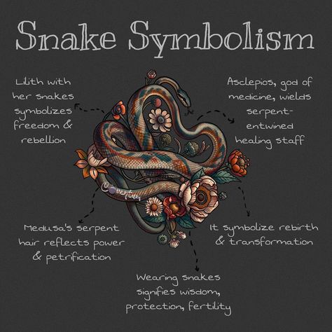 🐍Venture into a world where serpents are not just creatures but symbols of mystique and transformation. Medusa, with her serpent-laden hair, stands as an iconic figure of power and petrification, a testament to the profound impact of snake imagery. Lilith, closely entwined with these creatures, embodies enigmatic strength and rebellion, adding depth to the serpent’s symbolism. These figures, along with Asclepios and his healing staff, paint a vivid picture of how snakes have been revered and .. Magical Snake Art, What Do Snakes Symbolize, Medusa Offerings, Snake Symbolism Meaning, Transformation Symbolism, Lilith Snake, Snake Personality, Serpent Symbolism, Snake Witch