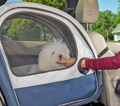 Backseat Dog Crate Specifically Designed For The Car Portable Dog Crate, Dog Travel Crate, Recognition Awards, Pet Businesses, Pet Crate, Portable Bag, Best Bud, Dog Travel, Travel Items