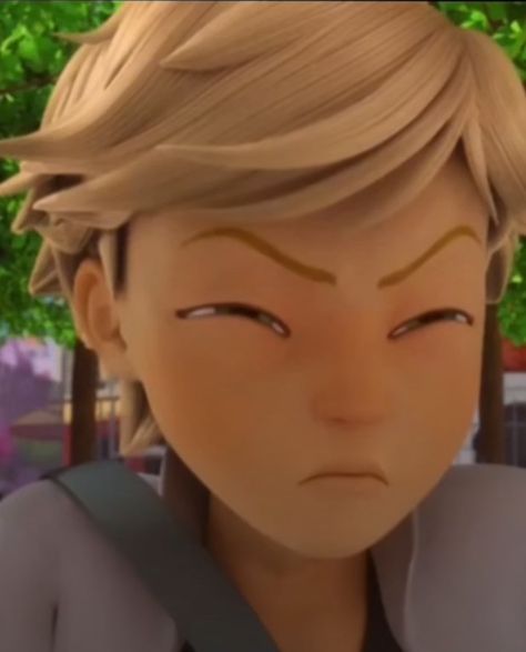 Cursed Adrien Agreste, Miraculous Meme, Miraculous Funny, Adrian Agreste, Adrien Agreste, Silly Faces, Weird Pictures, Lady Bug, Mug Shots