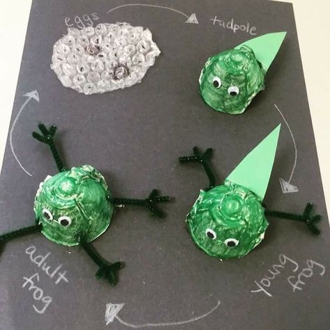 Frog Art Preschool, Frog Life Cycle Craft, Frog Life Cycle Activities, Pond Life Theme, Frogs Preschool, Life Cycles Preschool, Science Life Cycles, Frog Activities, Frog Life Cycle