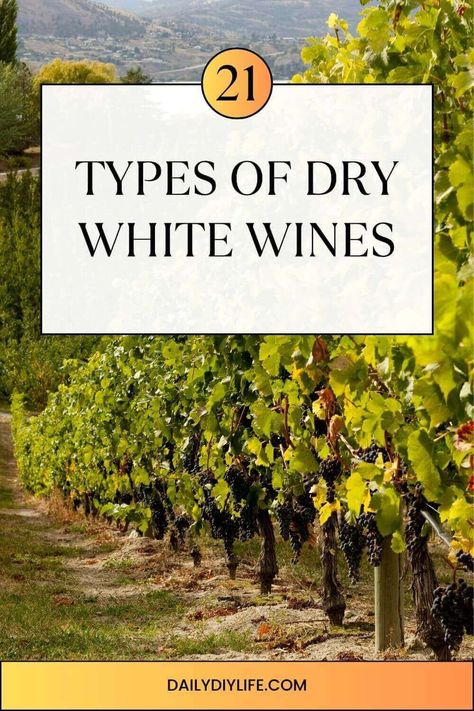 From bone-dry to off-dry, there is no shortage of types of dry white wine. But if you’re new (or even not) to the wine world, you might think that your options are Chardonnay, Pinot Grigio, and Sauvignon Blanc. And yes, those are great options, but only the tip of the wine iceberg White Wine Grapes, Sauvignon Blanc Wine, Pinot Blanc, Dry Wine, Healthy Comfort, White Wines, Chenin Blanc, Fresh Cheese, Recipe Community